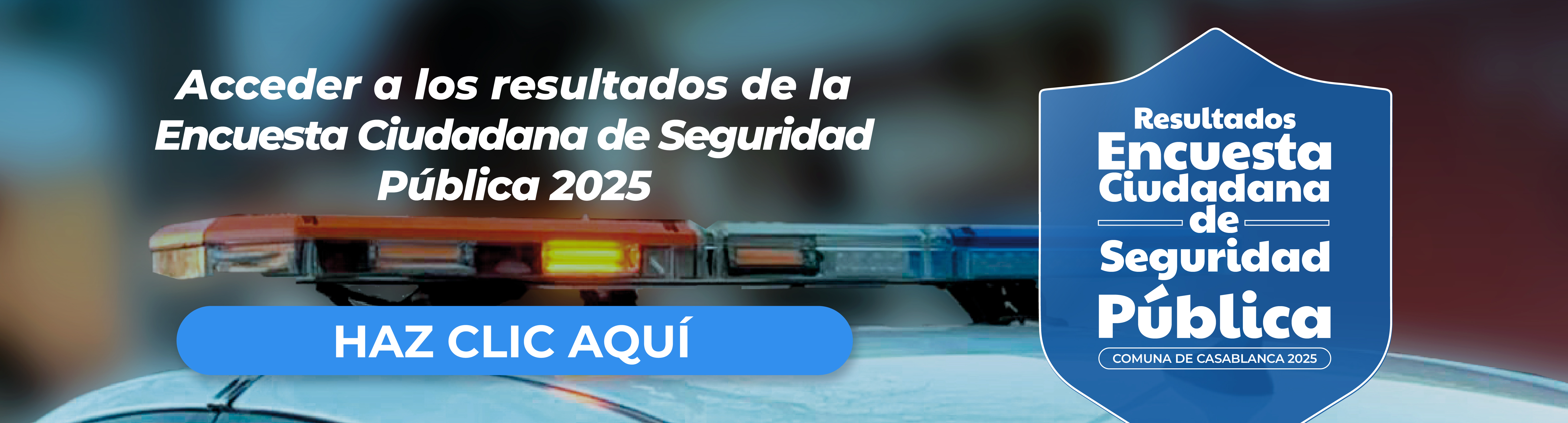 Resultados_Encuesta_Ciudadana_Plan_Comunal_Seguridad_Publica_2025-2029
