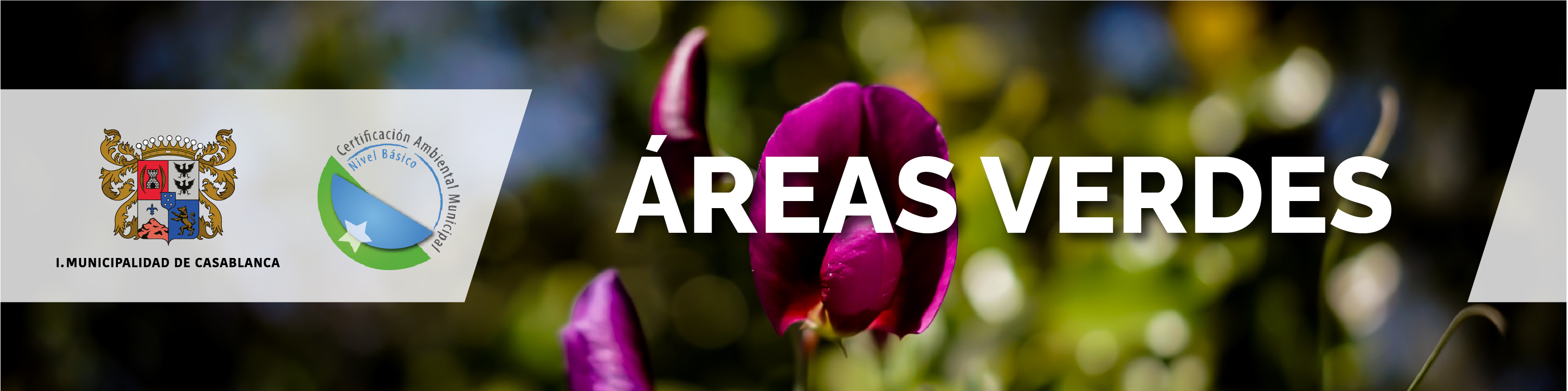 AREAS VERDES
