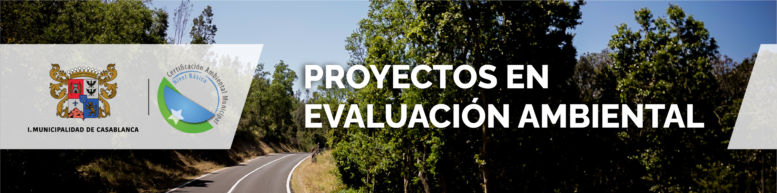 PROYECTOS EVALUCIN