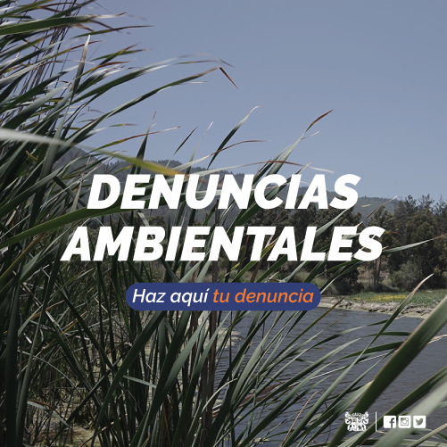 banners laterales denuncias ambientales